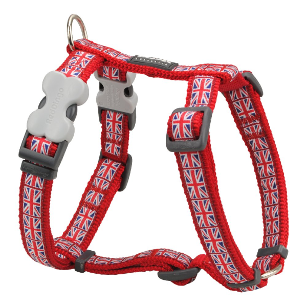 רתמה צבעונית רד דינגו Red Dingo בצבע אדום דגל אנגליה